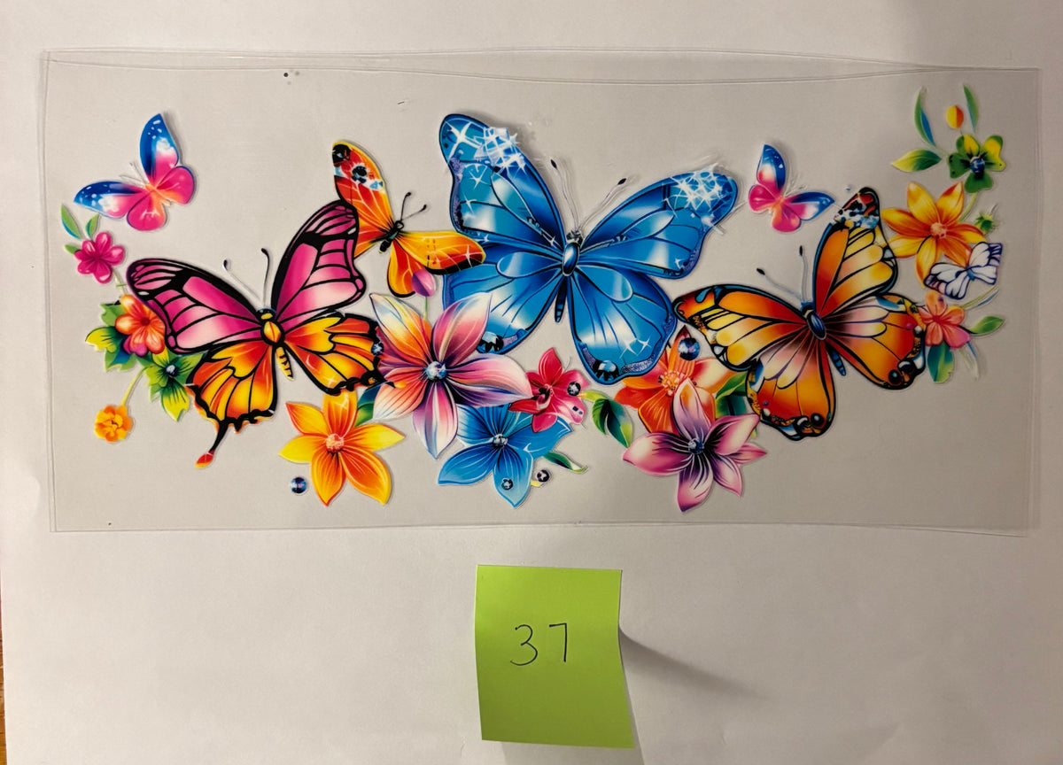 37 Butterfly