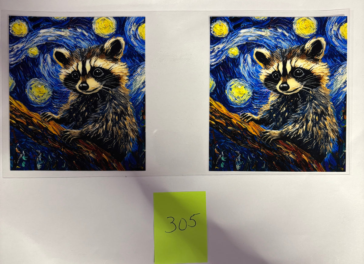 305 Raccoon Night Sky
