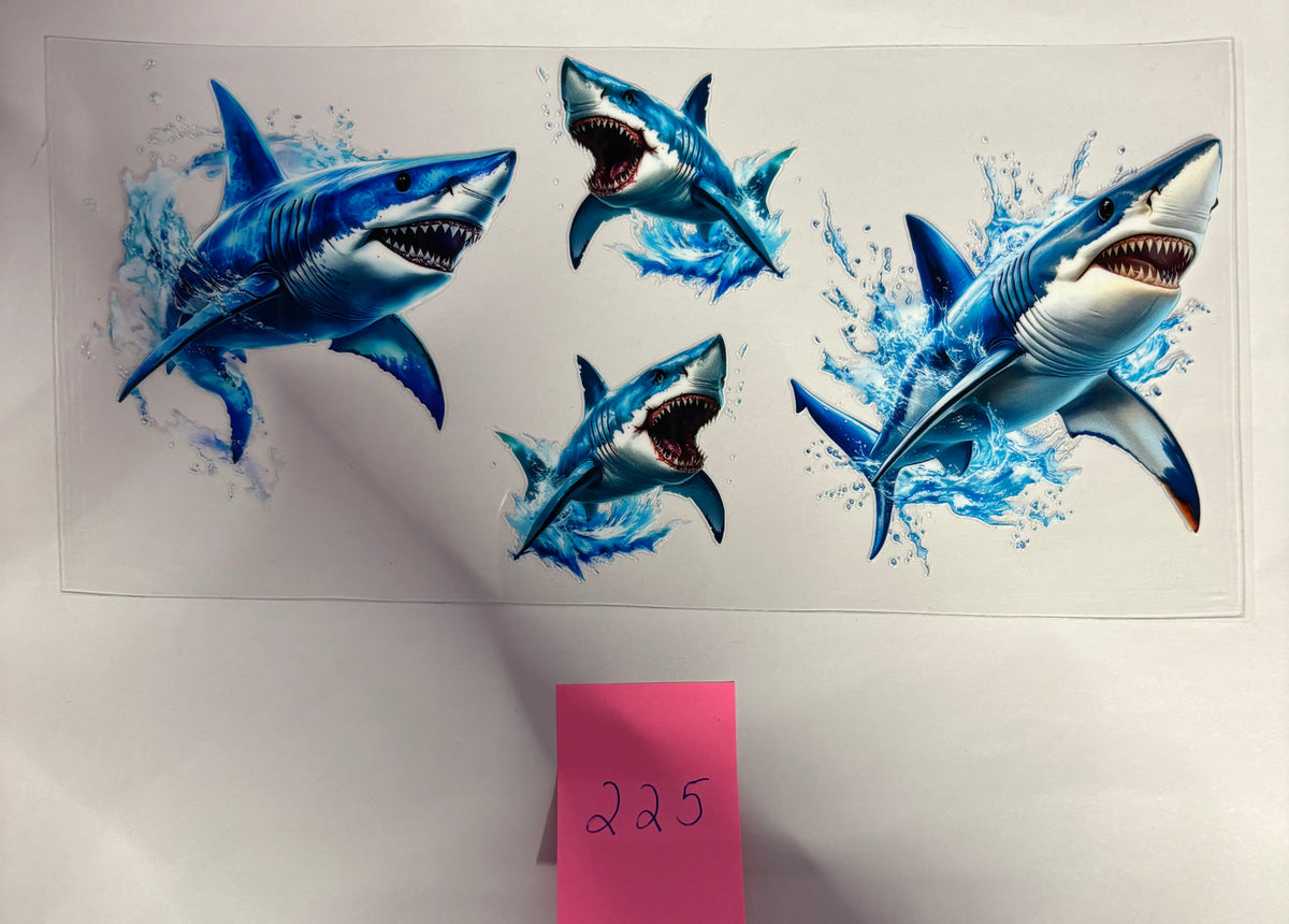 225 Sharks