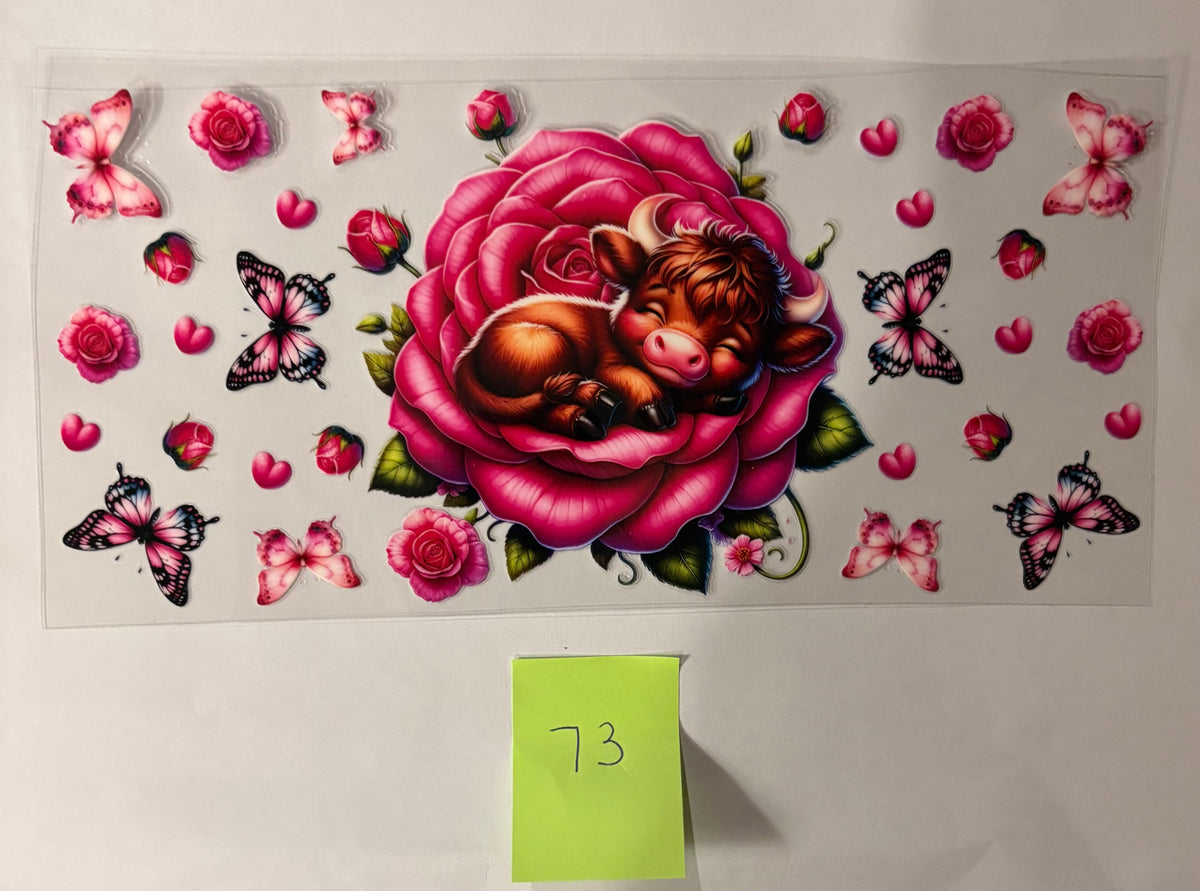 73 Baby Highland Cow on a Rose