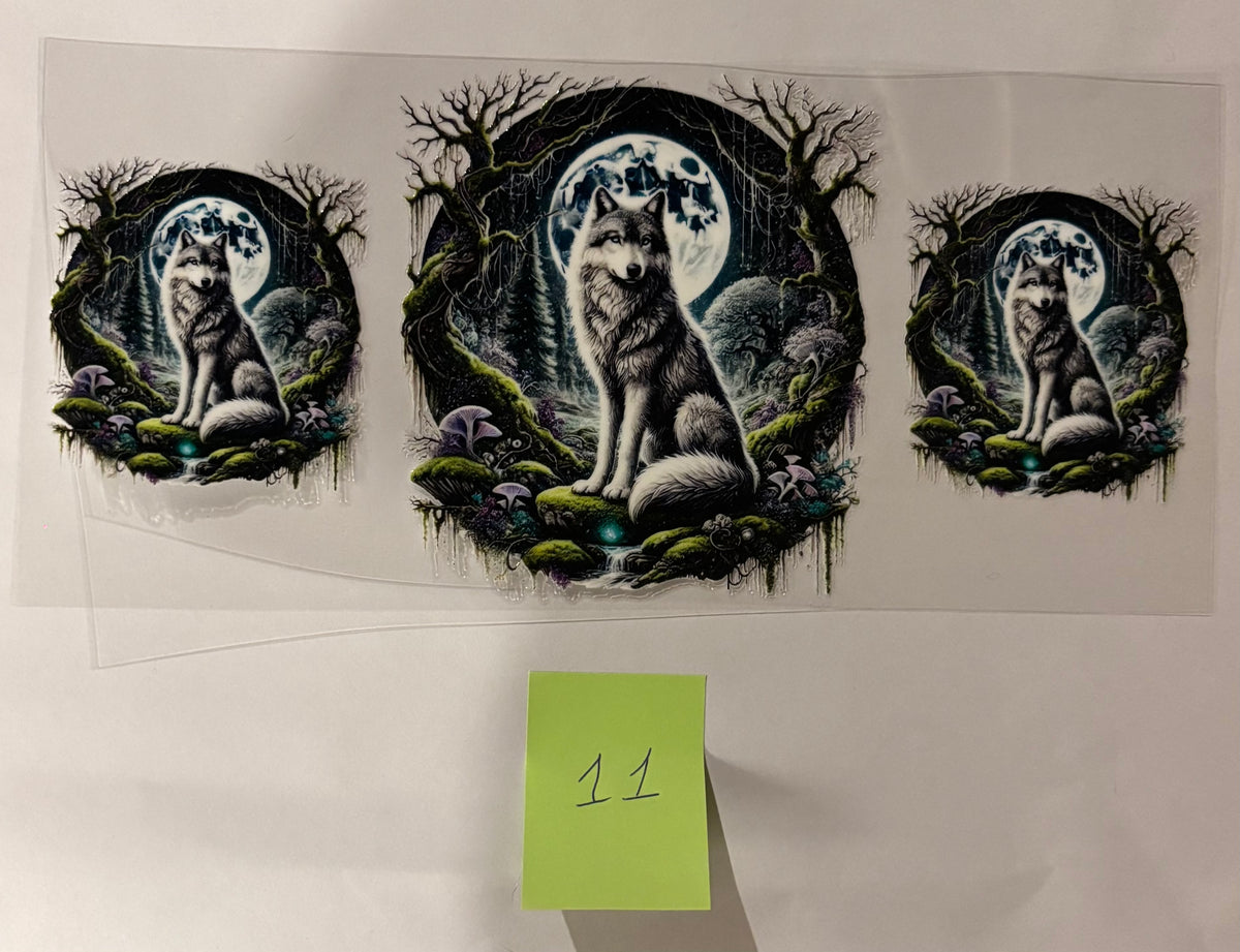 11 Wolf