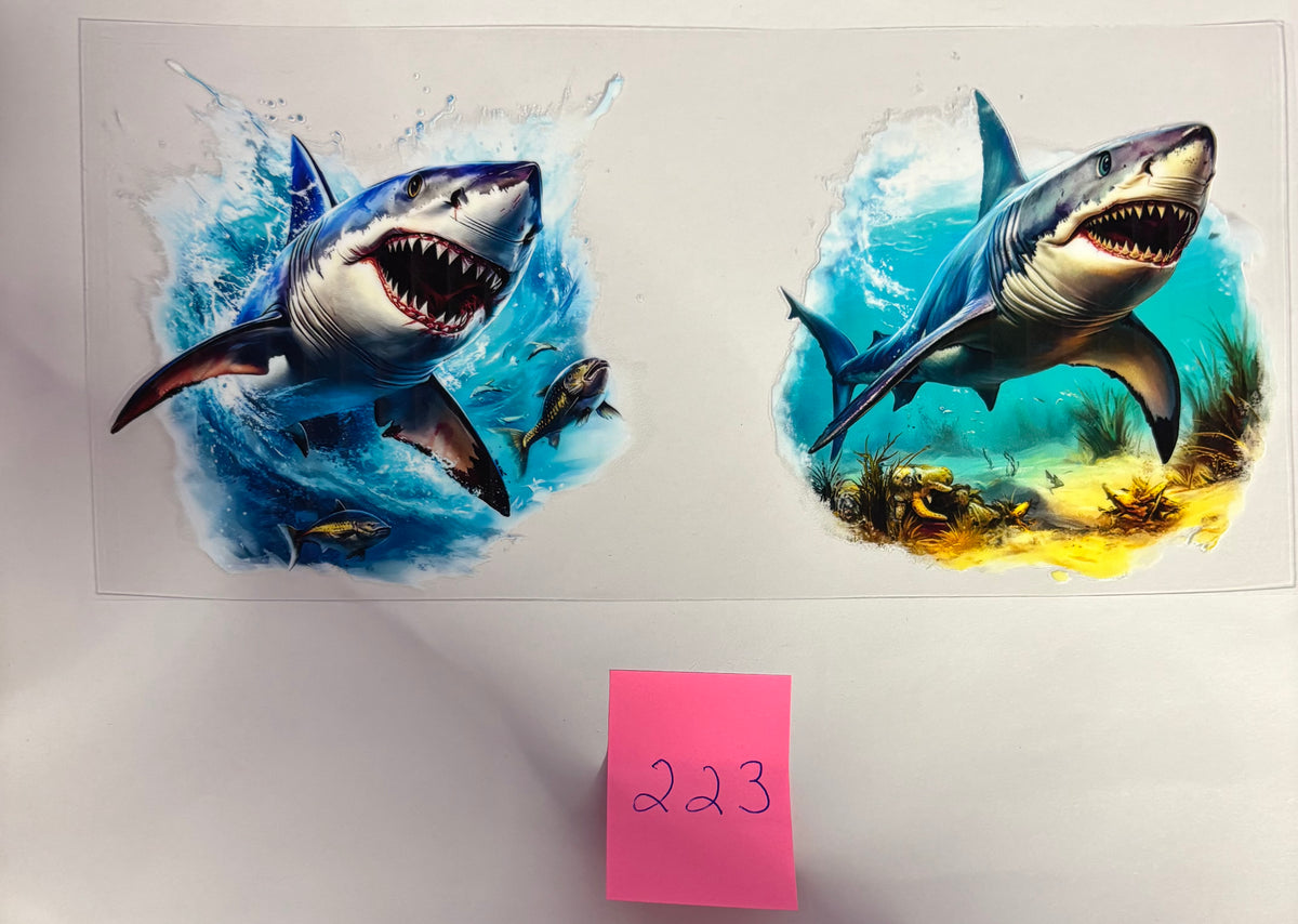 223 Sharks