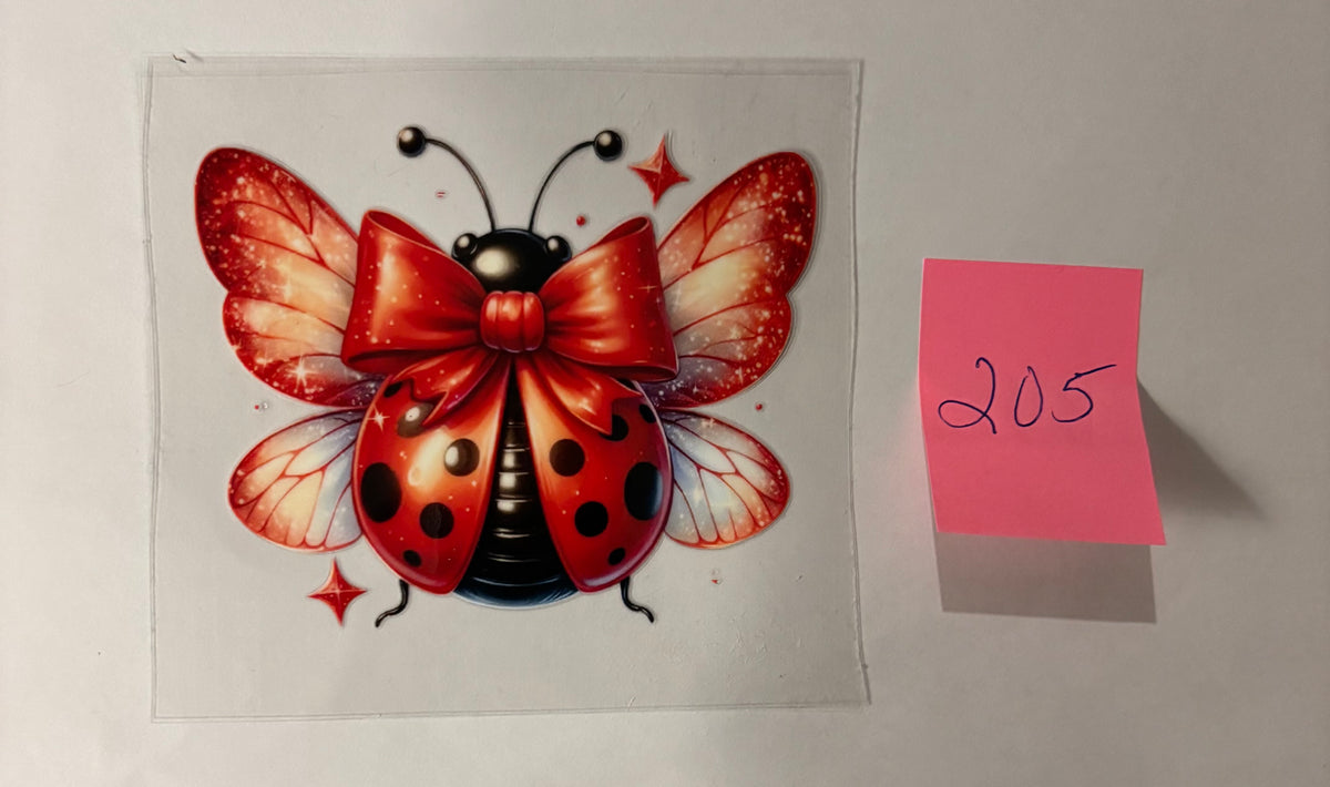 205 Ladybug